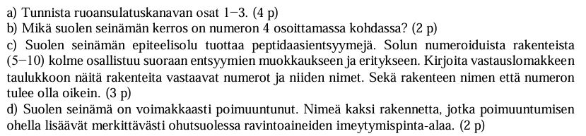 Liitetiedosto tt.JPG